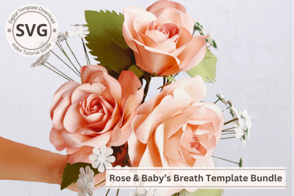 Ecuadorian Rose 3D SVG for Elegant Paper Flowers